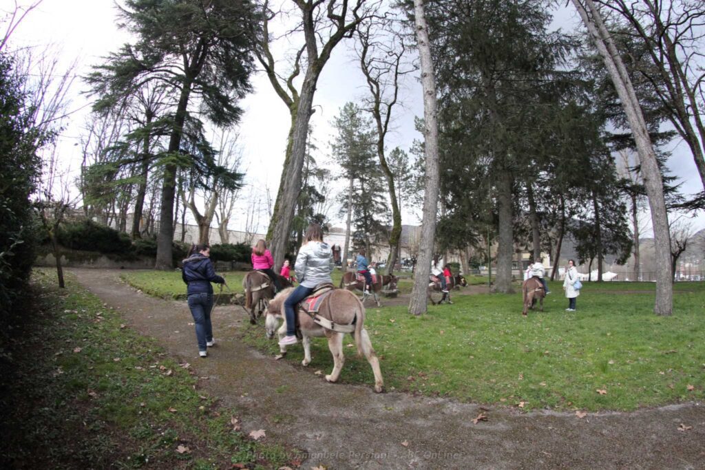 passeggiate con gli asini per bambini